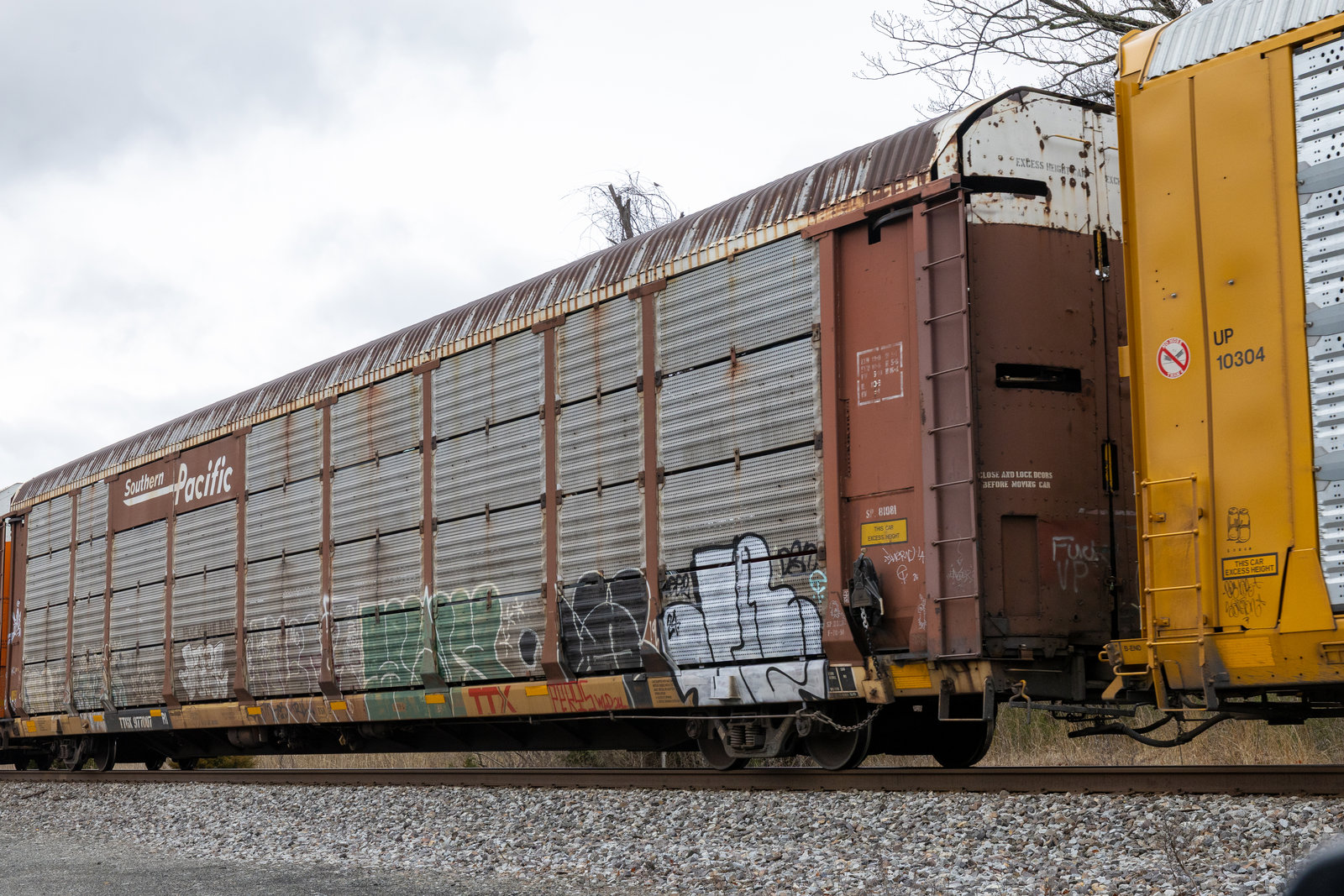 TTGX 977007
