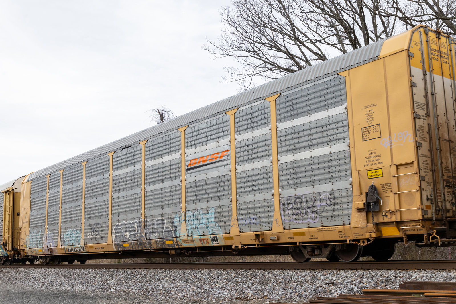 TTGX 967195
