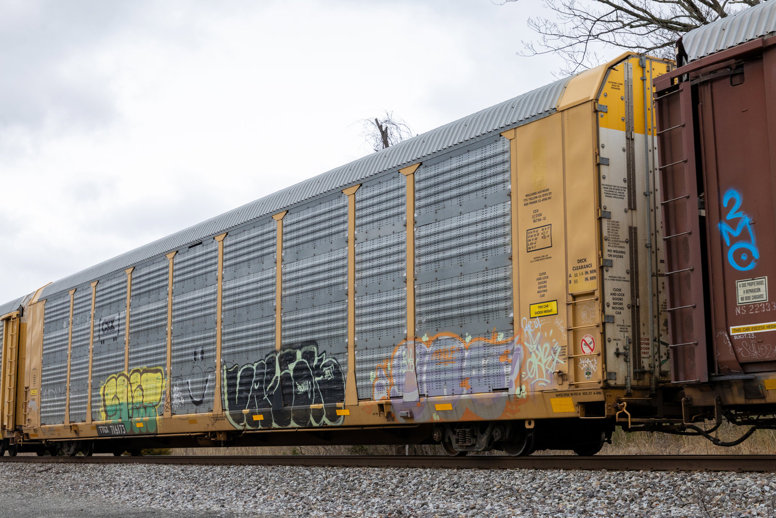 TTGX 716173