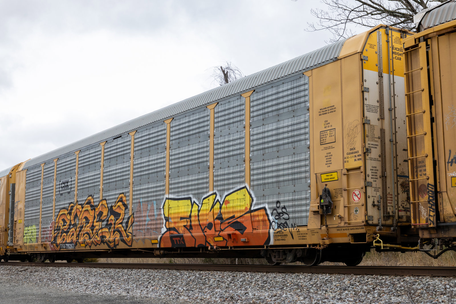 TTGX 715367