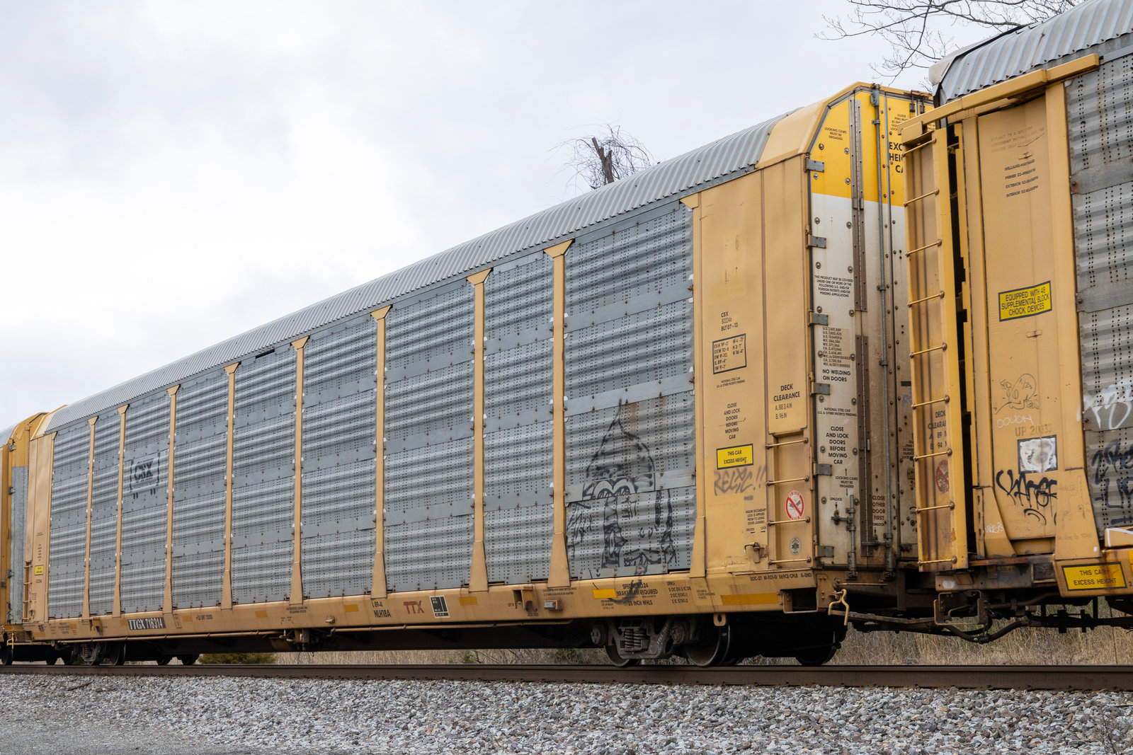 TTGX 716314