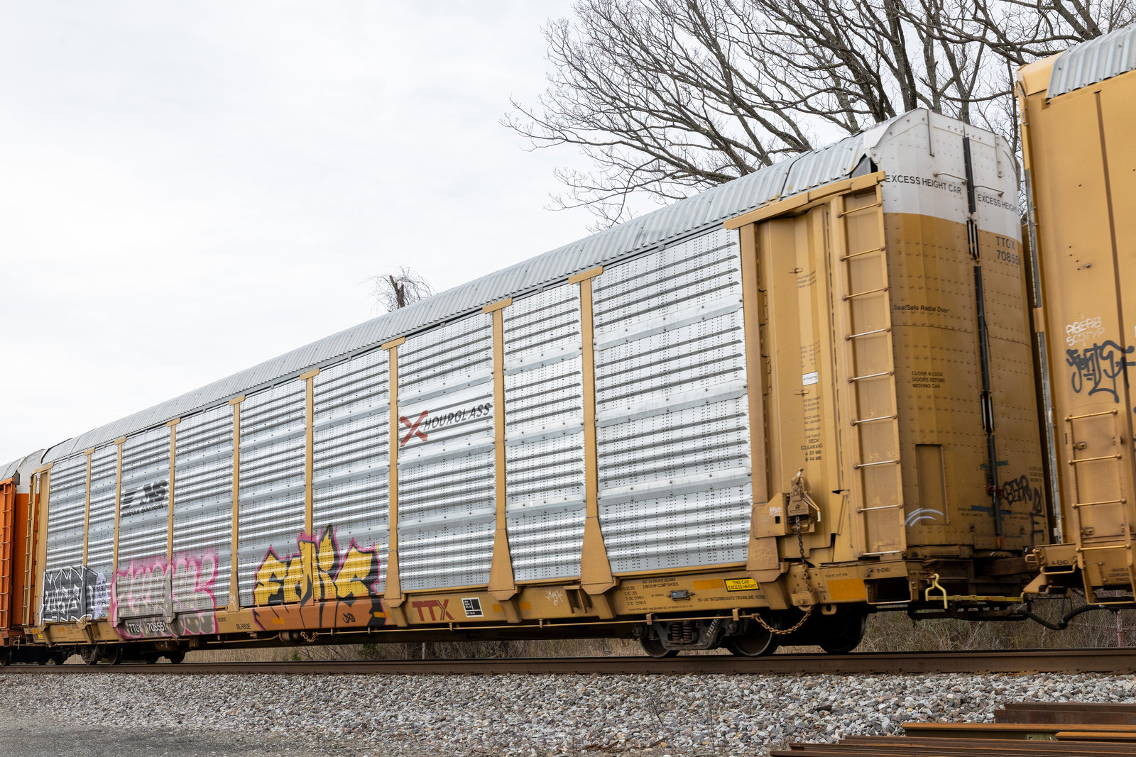TTGX 708551