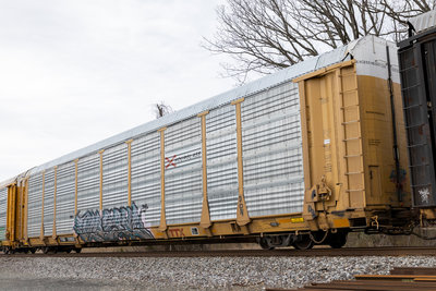 TTGX 701833