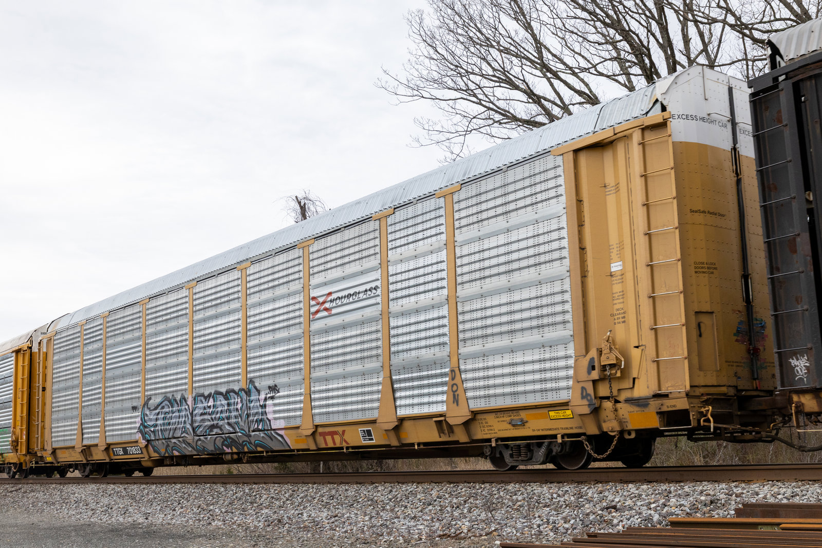 TTGX 701833