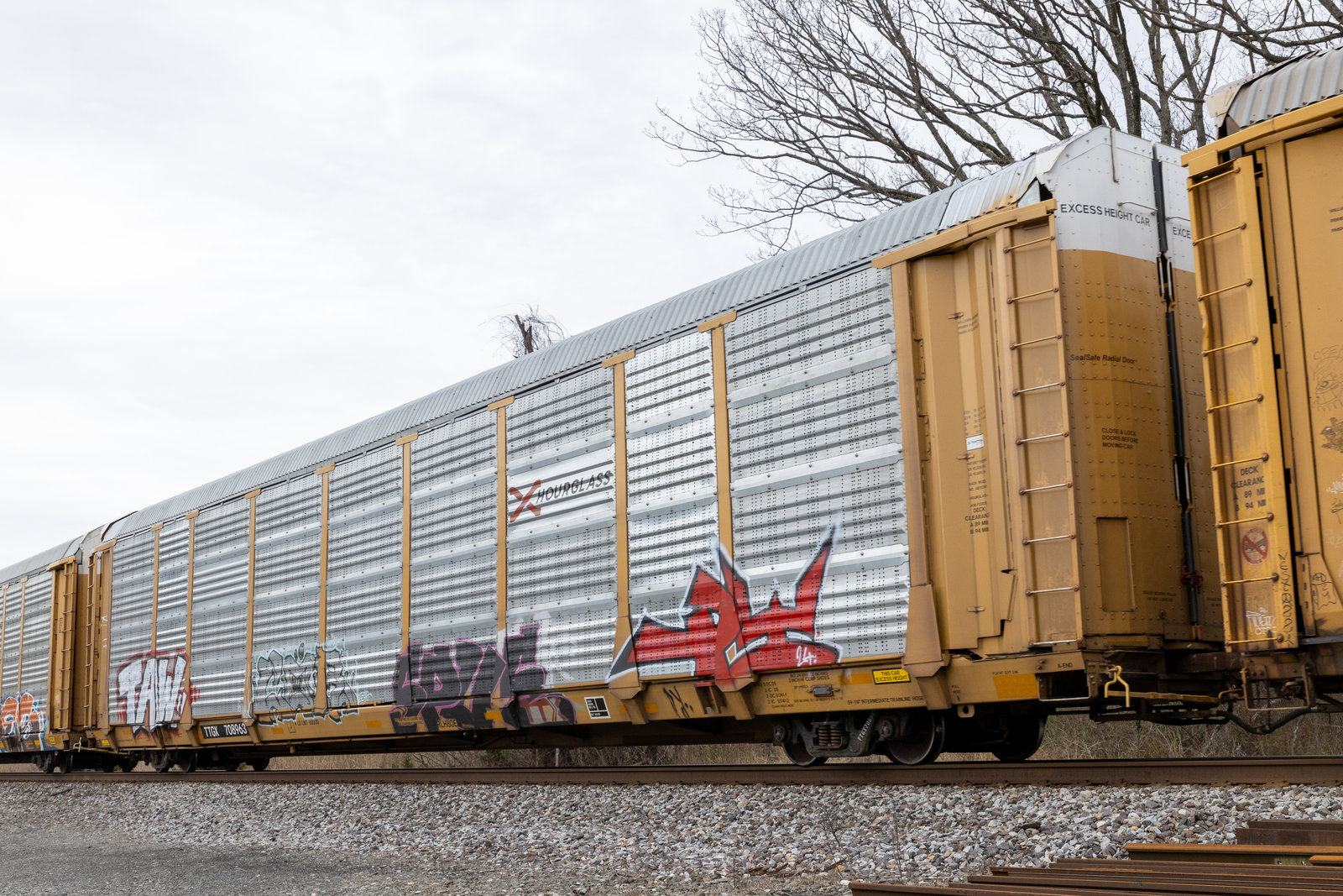 TTGX 708963