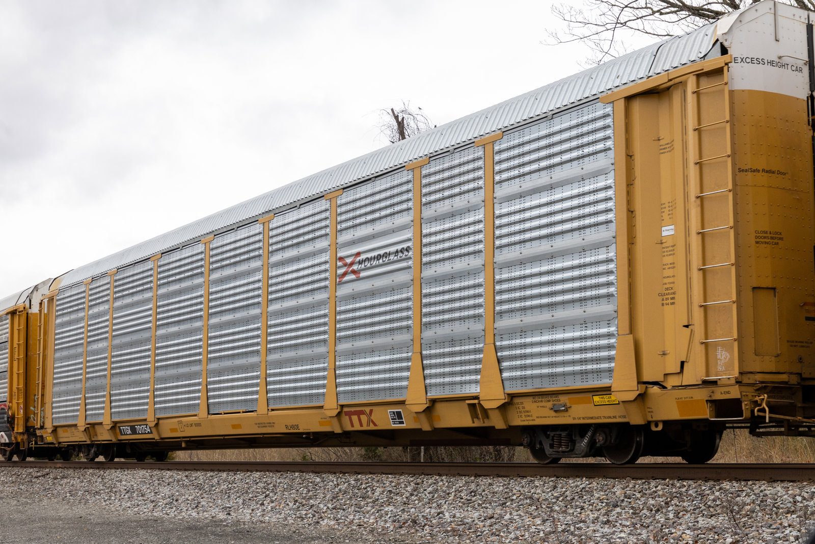 TTGX 701754