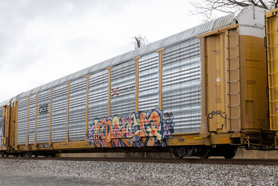 TTGX 709226