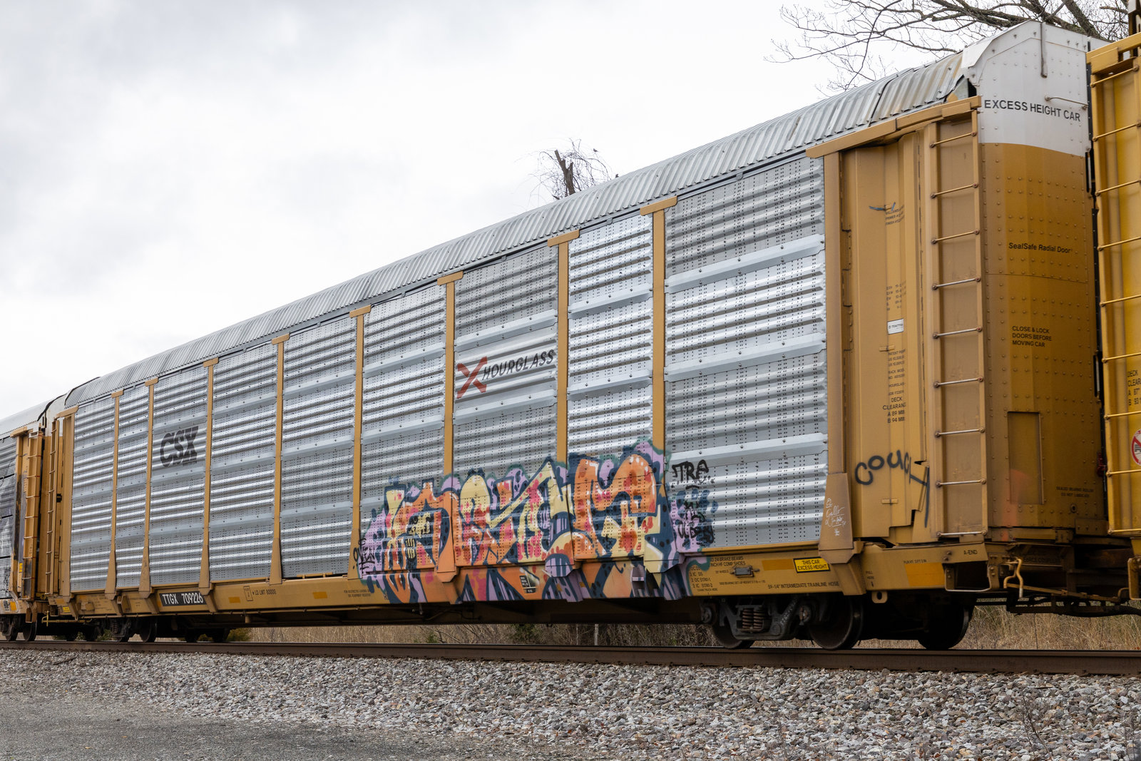 TTGX 709226