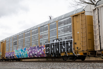 TTGX 709526