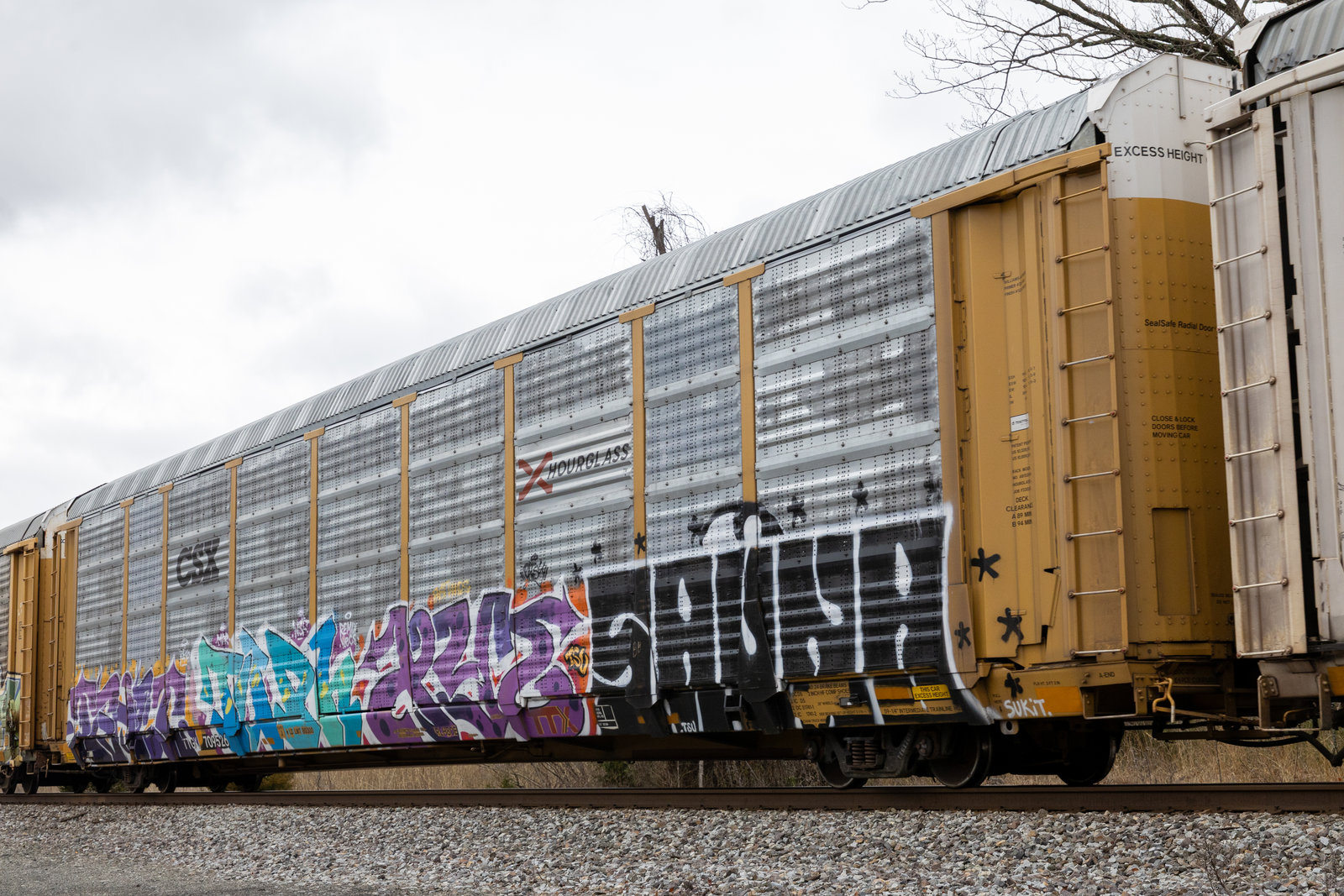 TTGX 709526