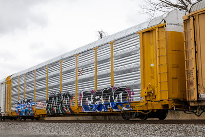 TTGX 835024