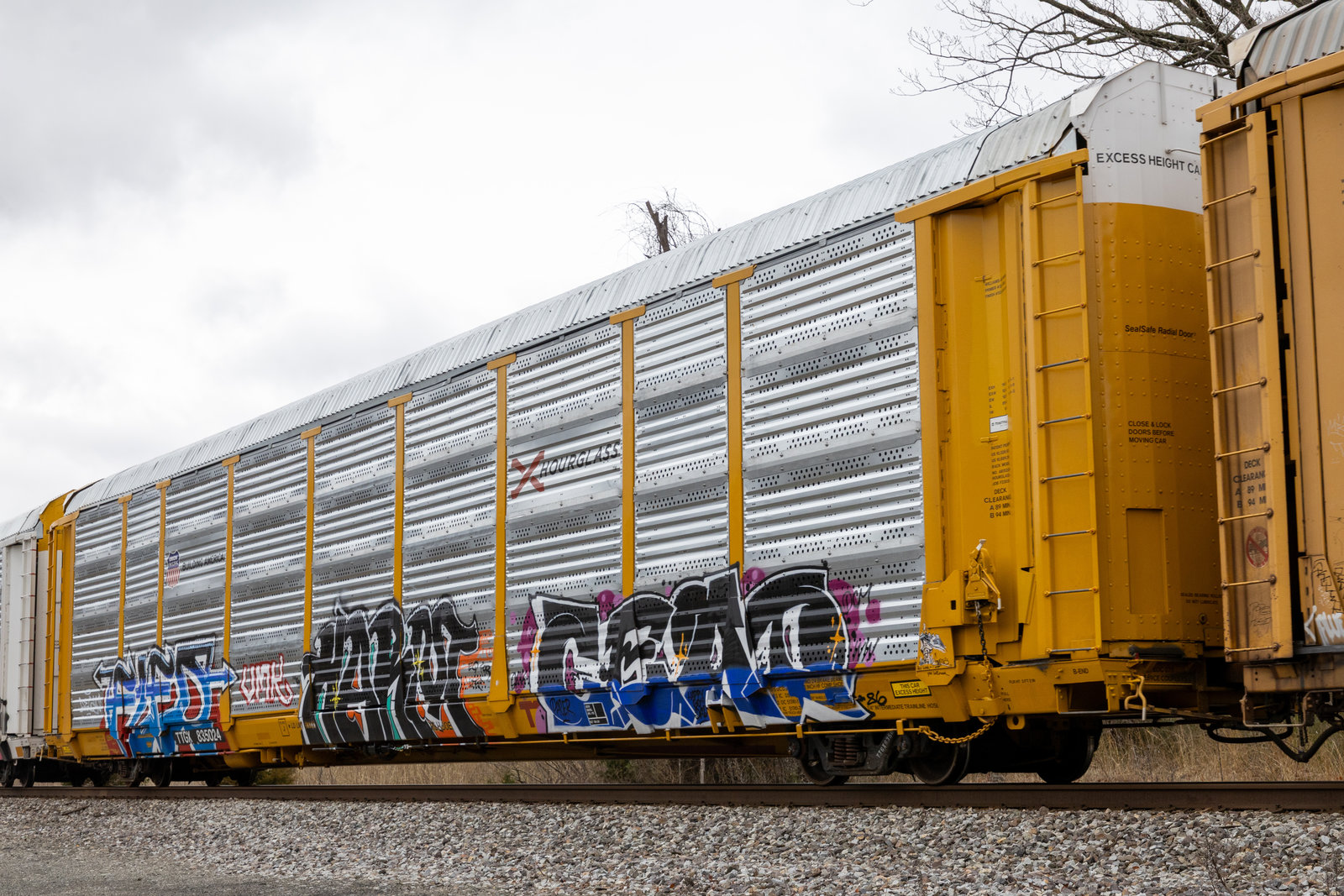 TTGX 835024