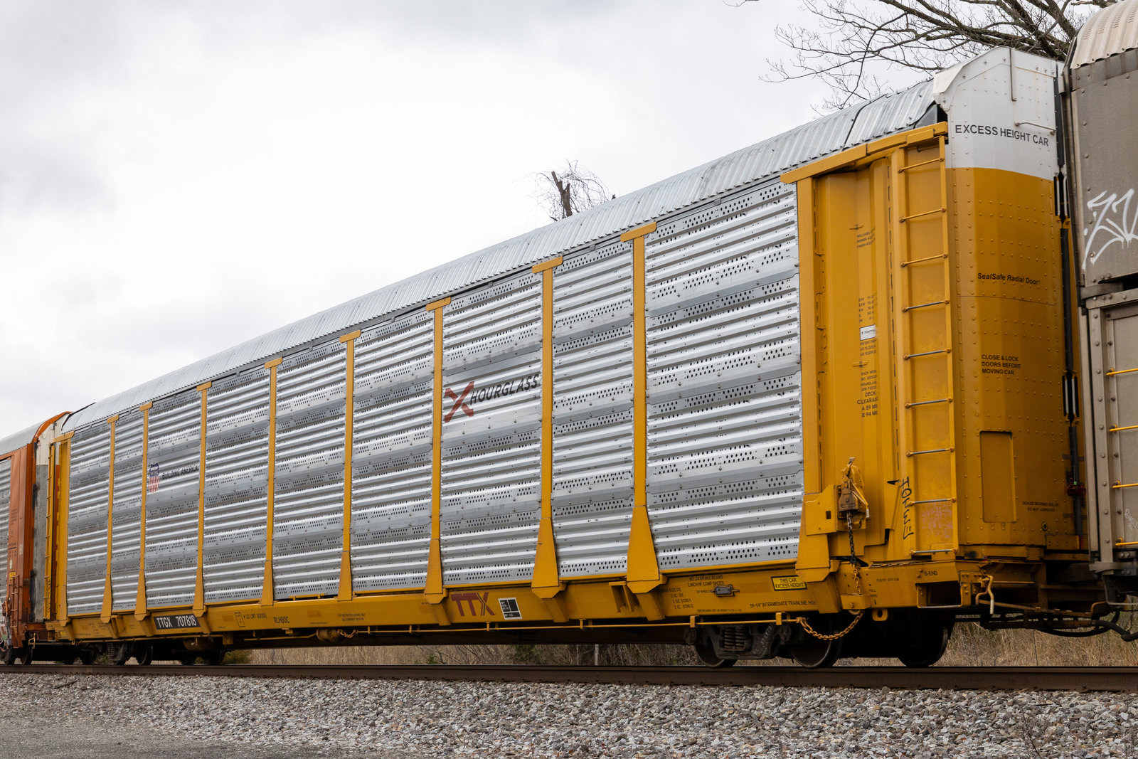 TTGX 707818