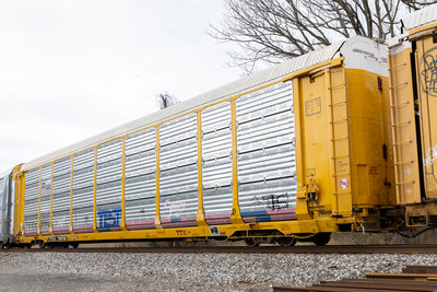 TTGX 700766
