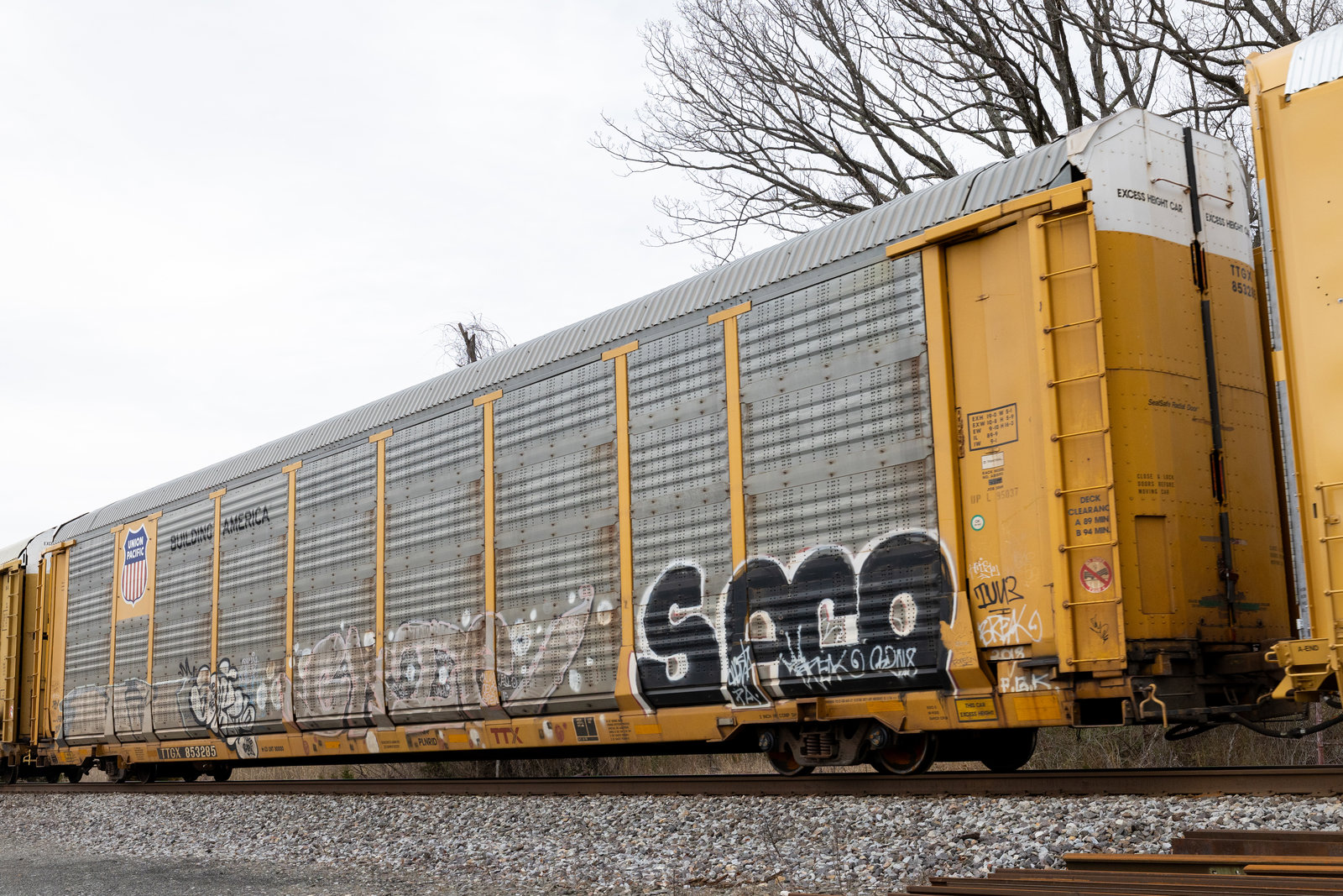 TTGX 853285