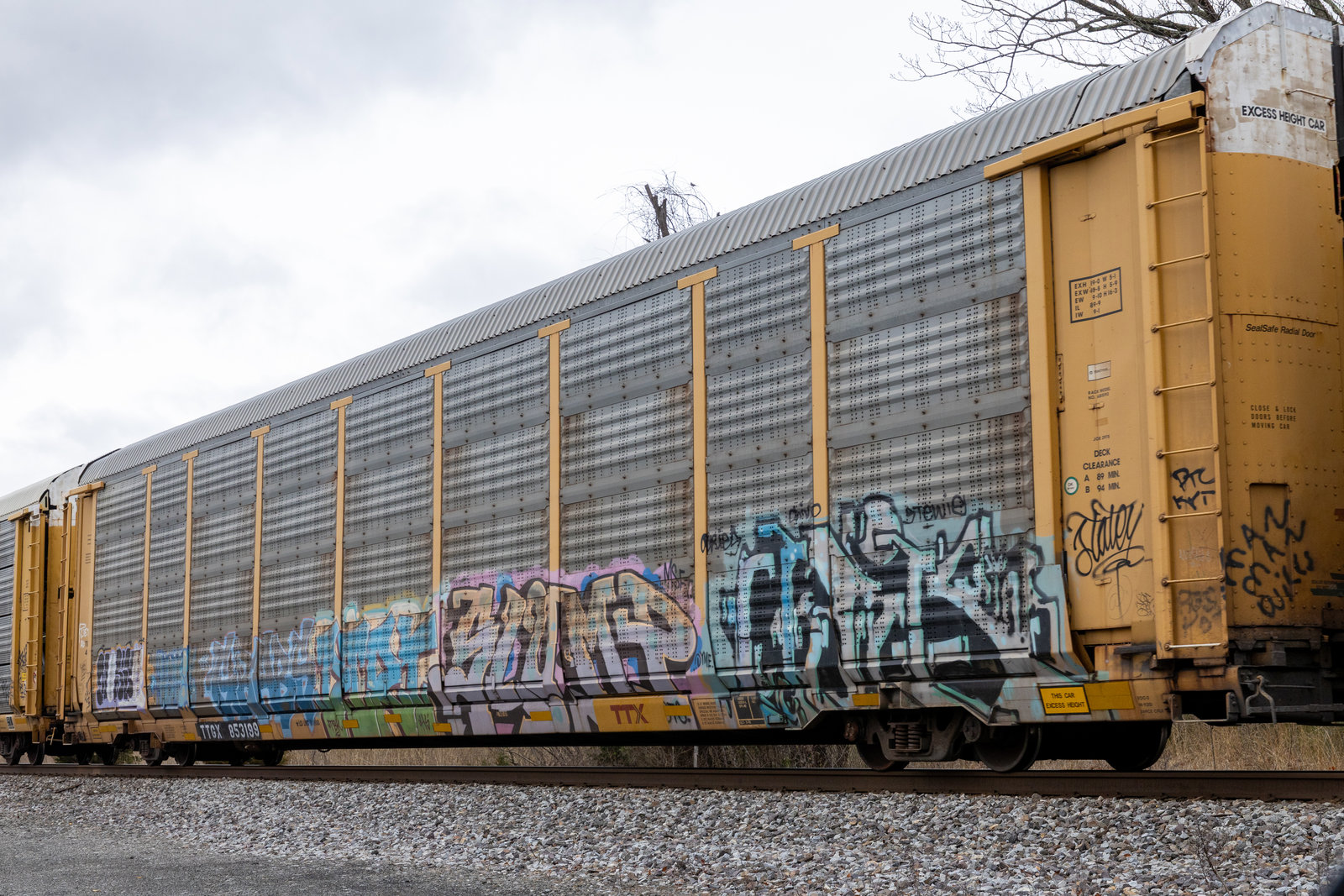 TTGX 853199