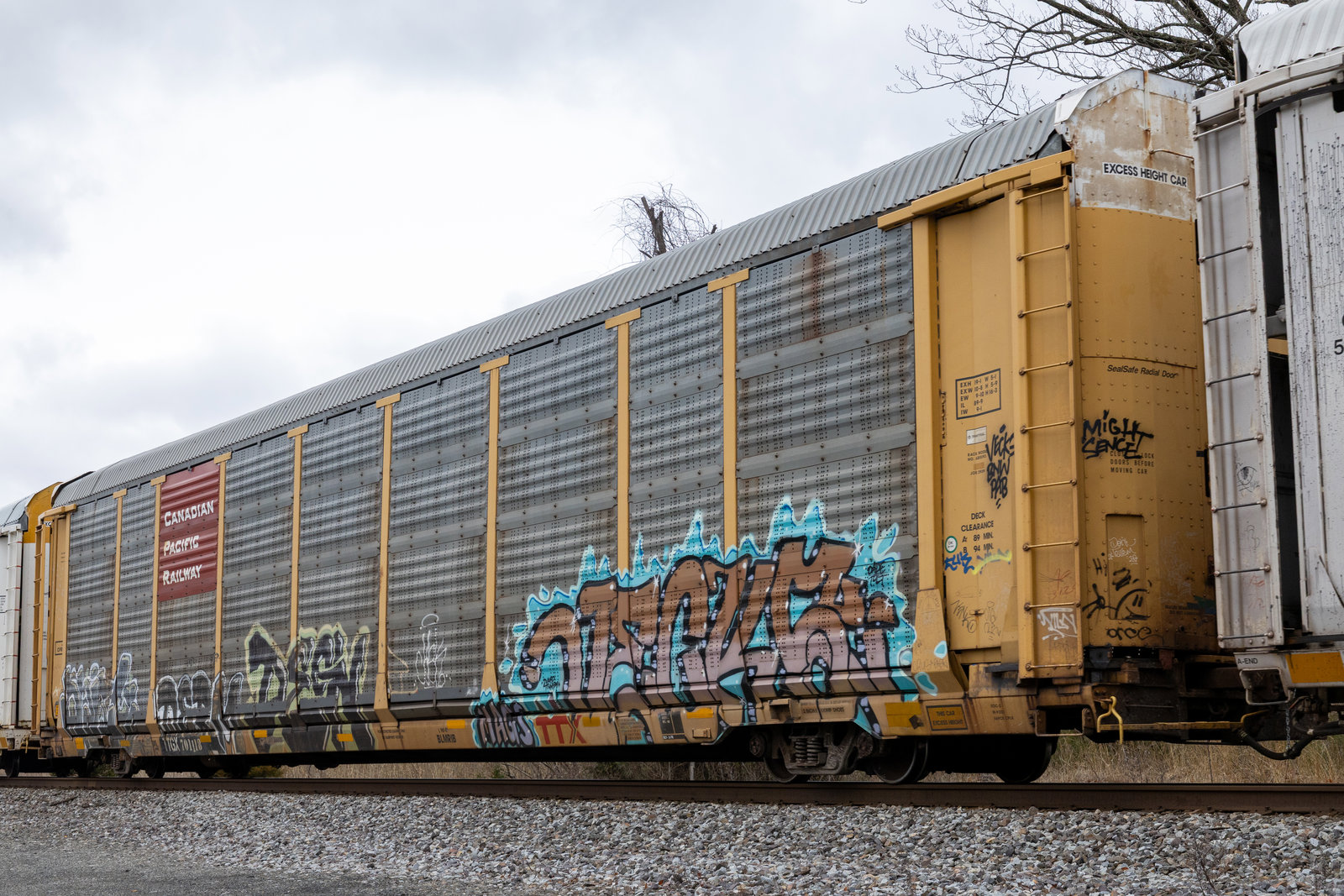 TTGX 701118