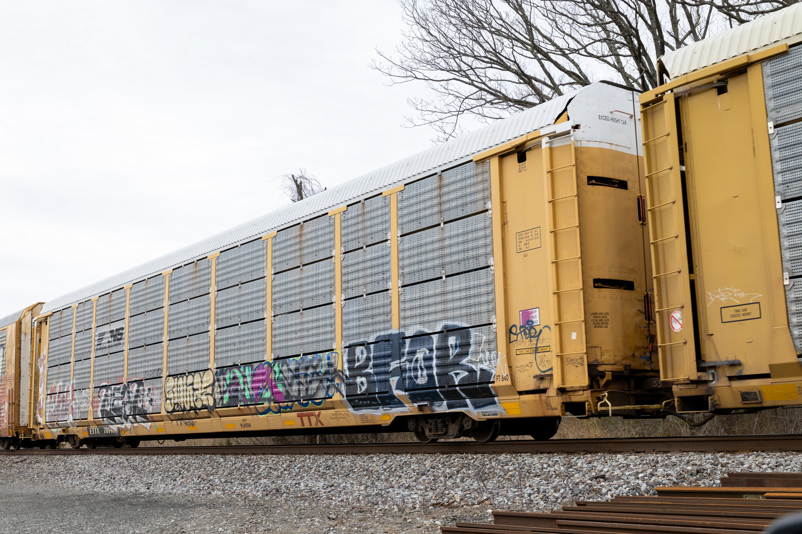 ETTX 701483
