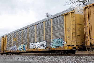 ETTX 711981