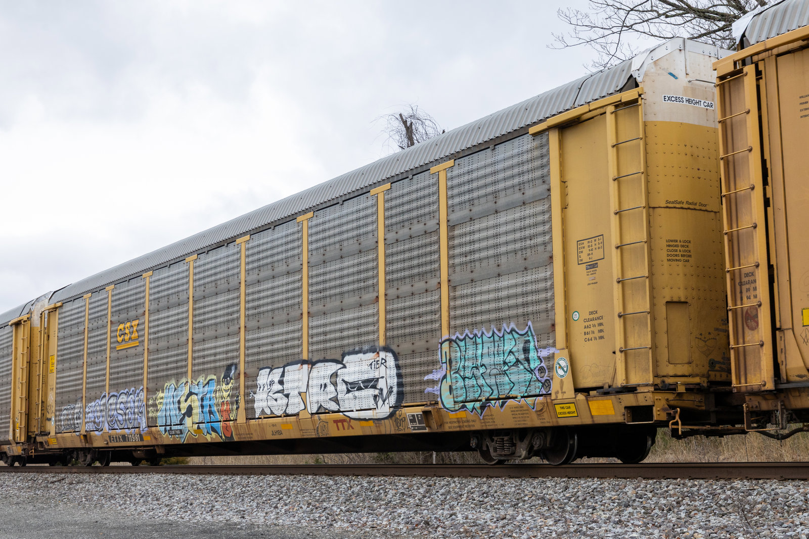 ETTX 711981