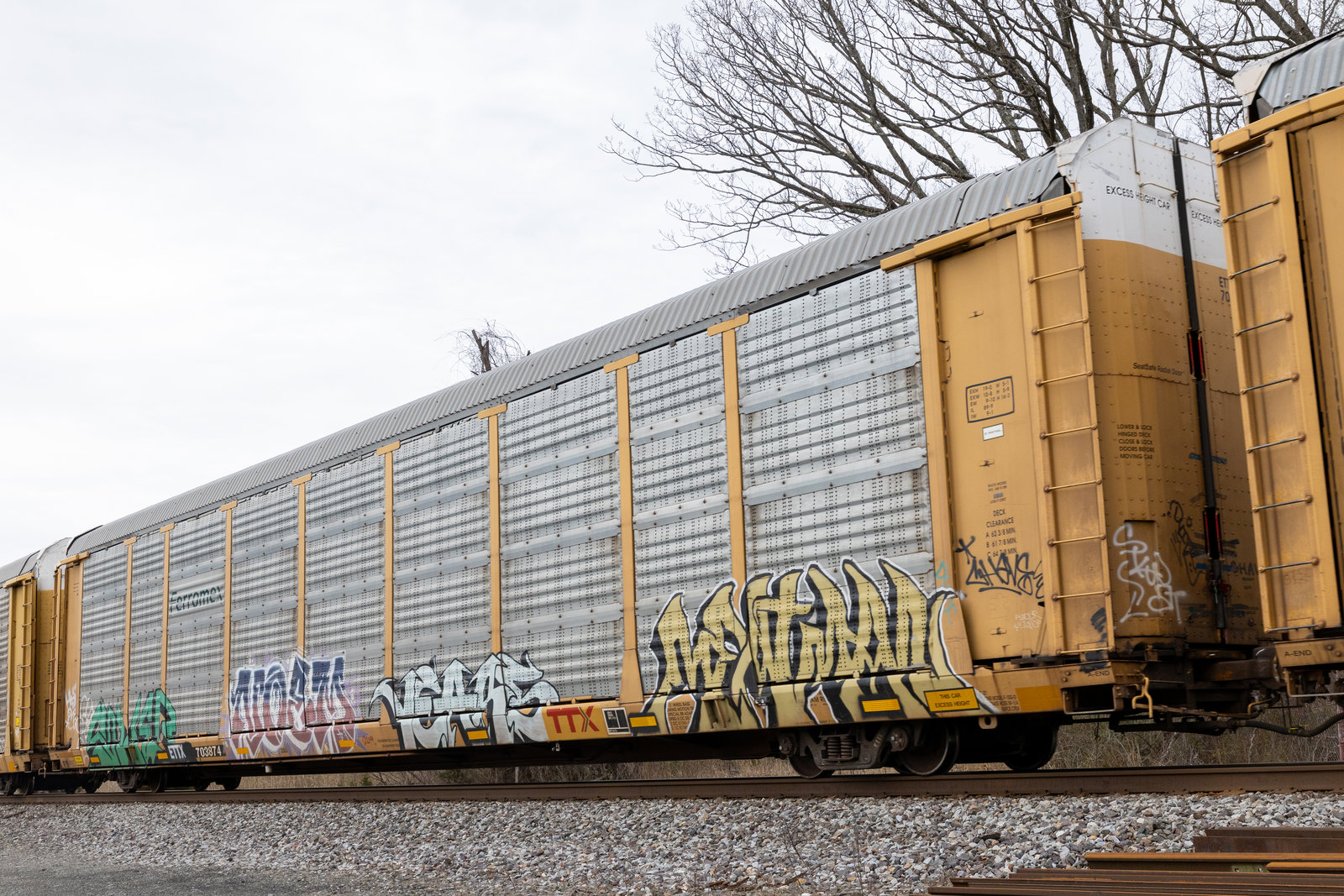 ETTX 703874