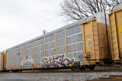 ETTX 703419