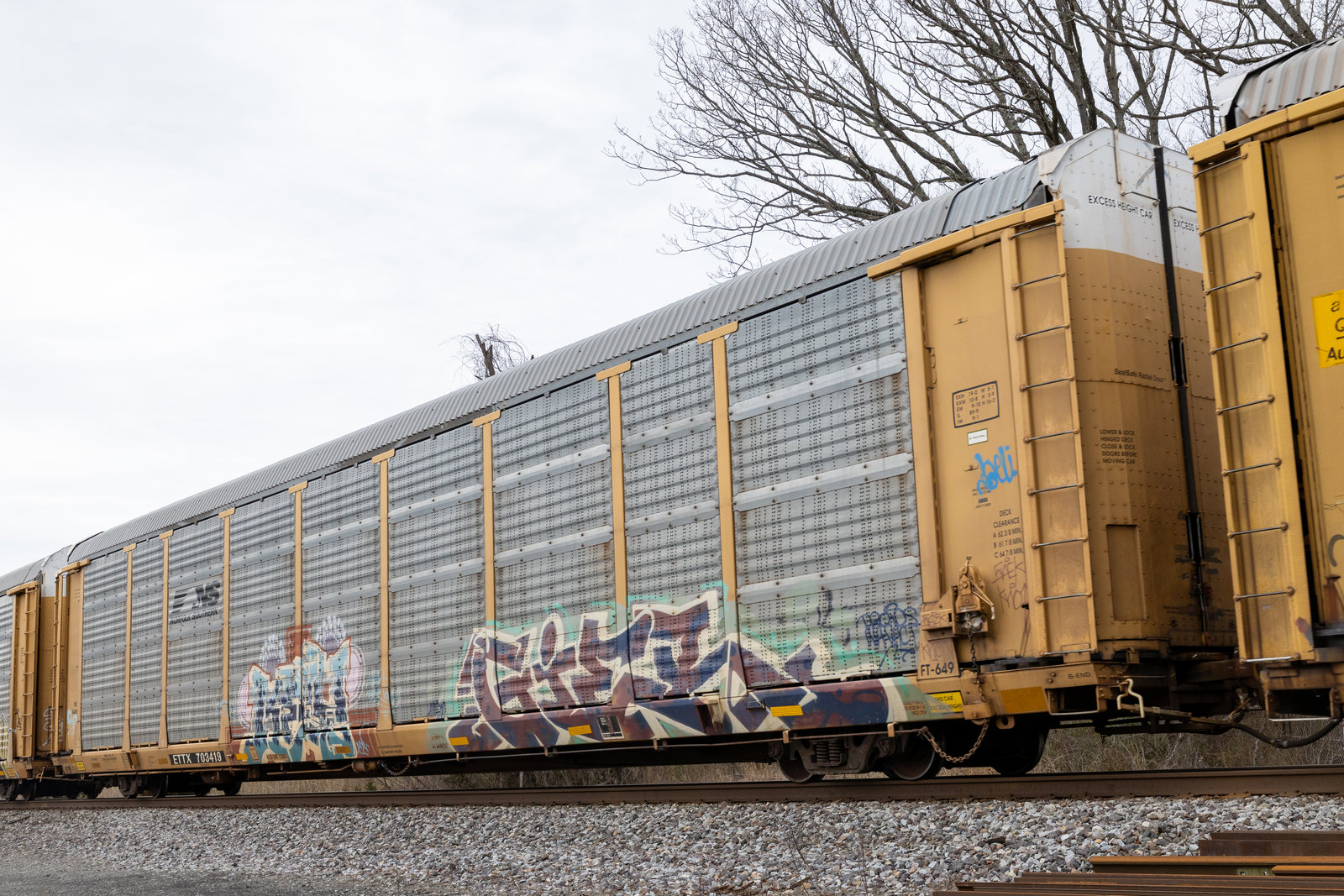 ETTX 703419