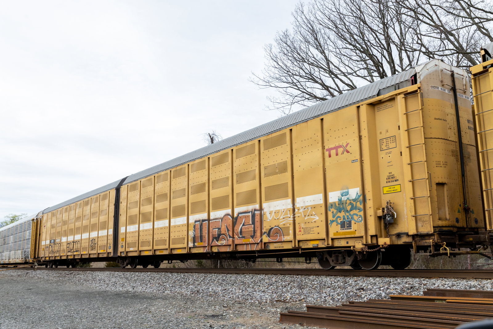 BTTX 880034