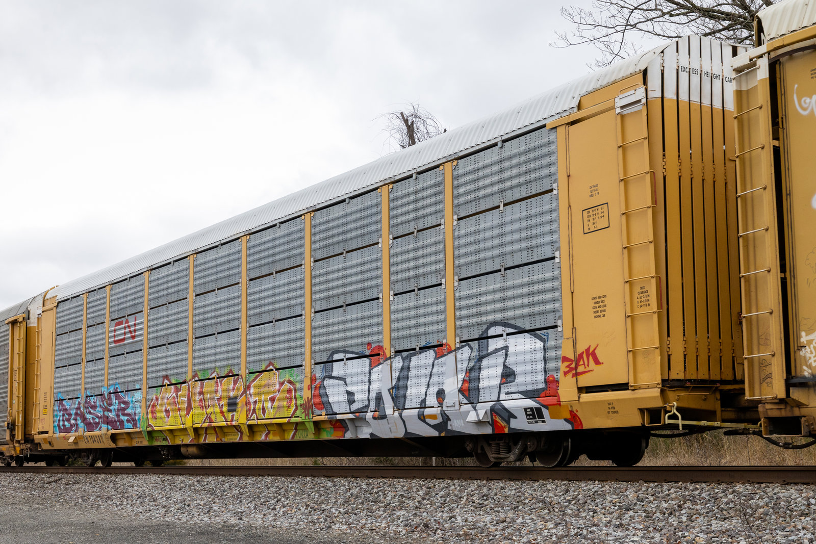 CN 704381