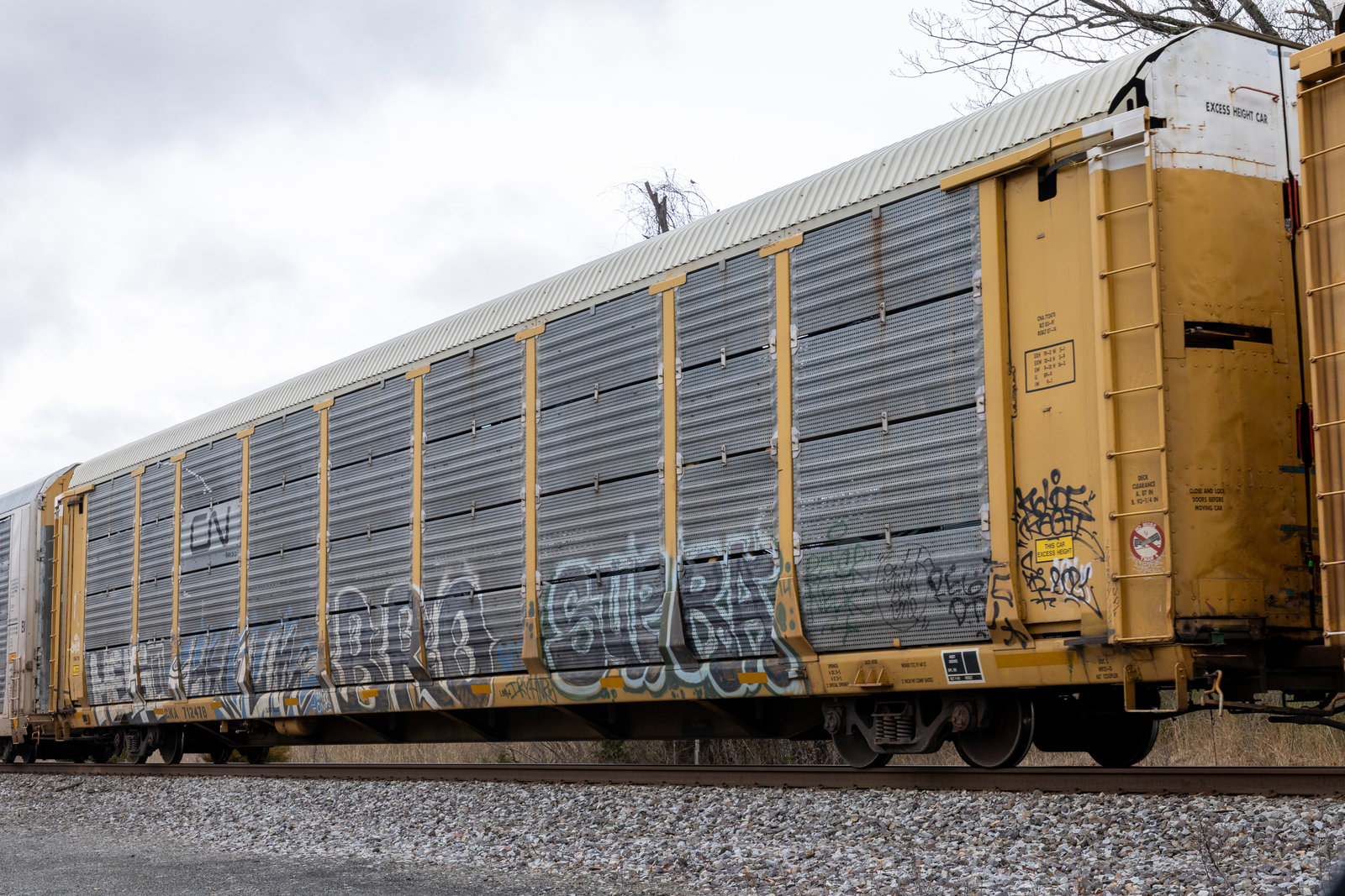 CNA 712478