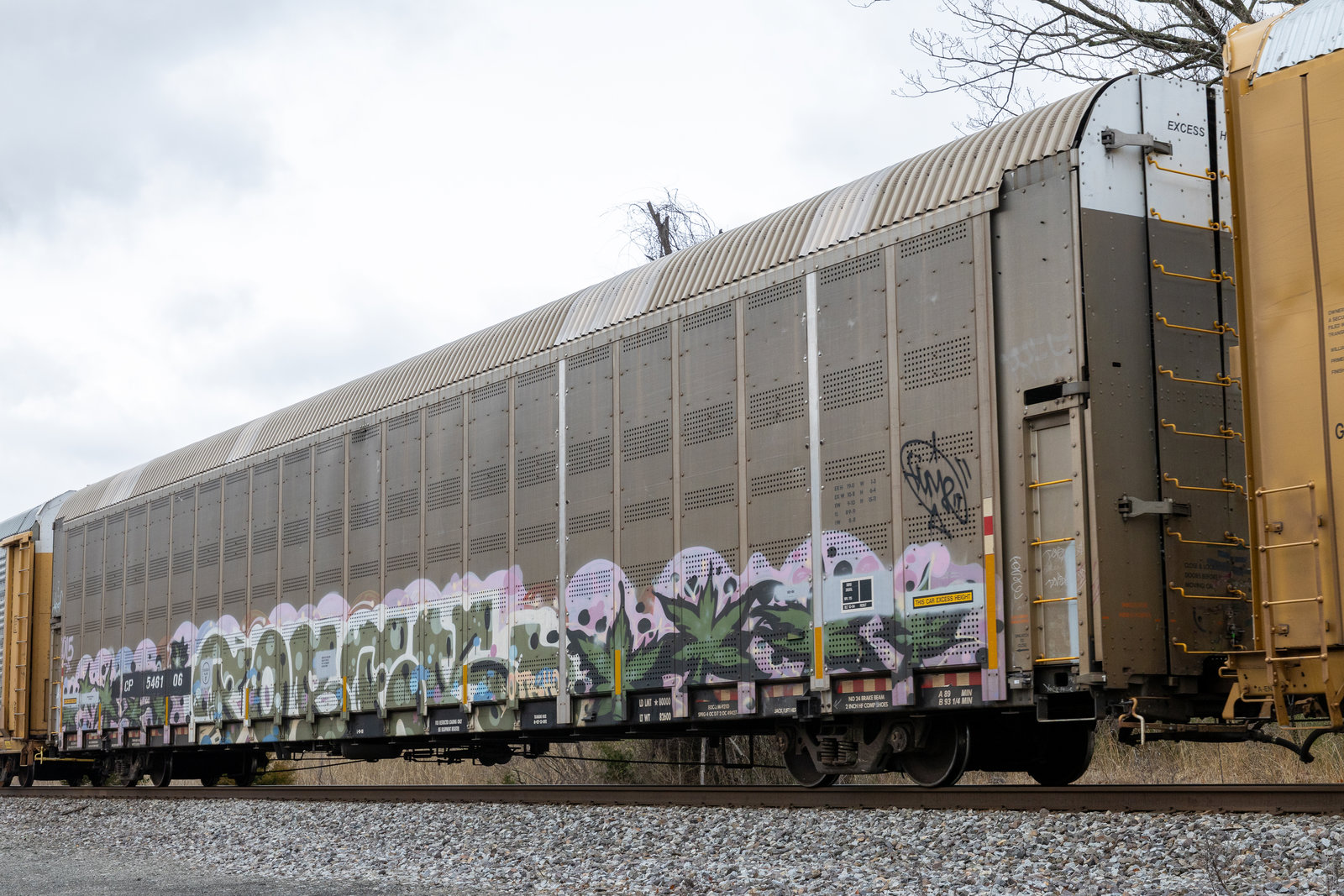 CP 546106
