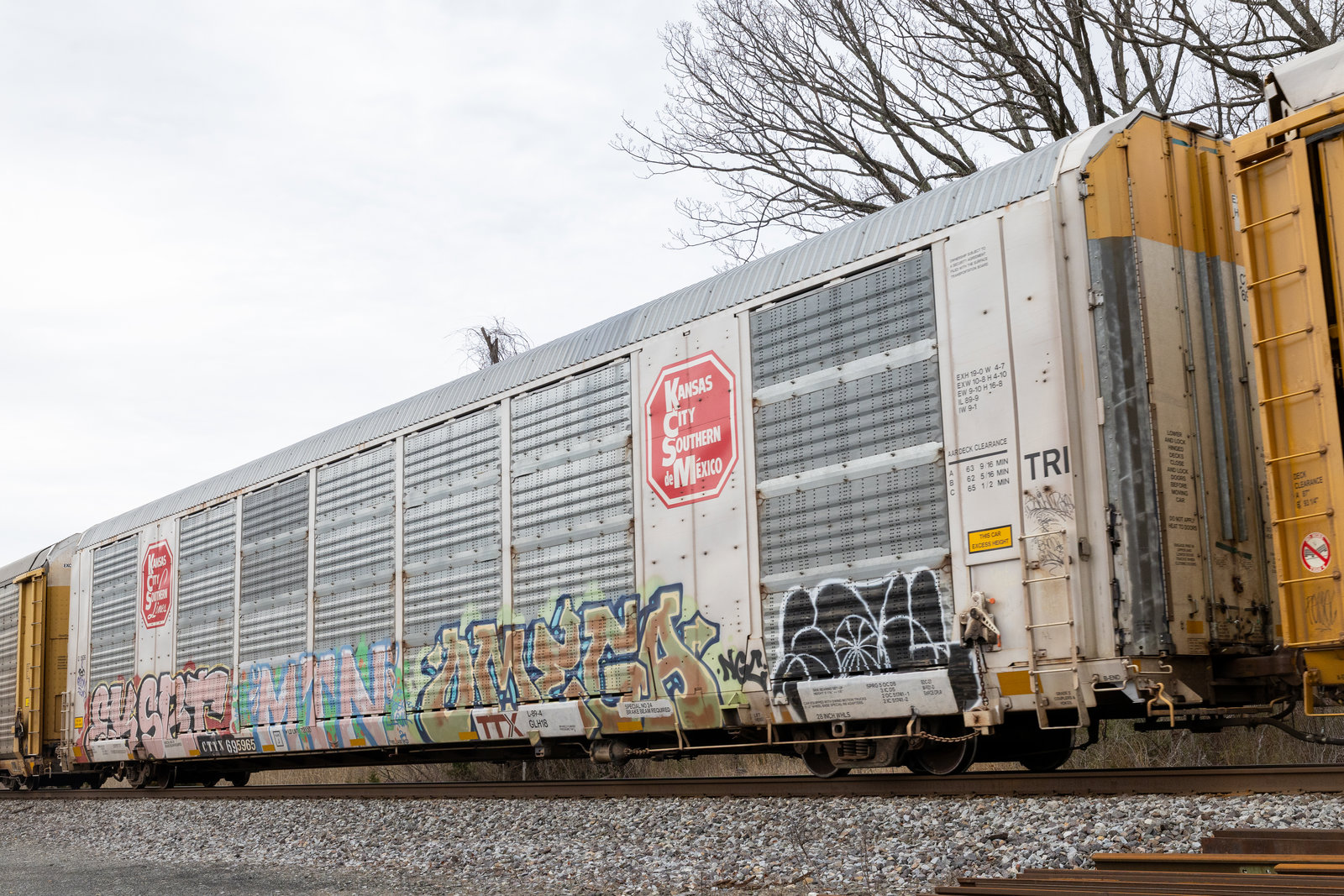 CTTX 695965