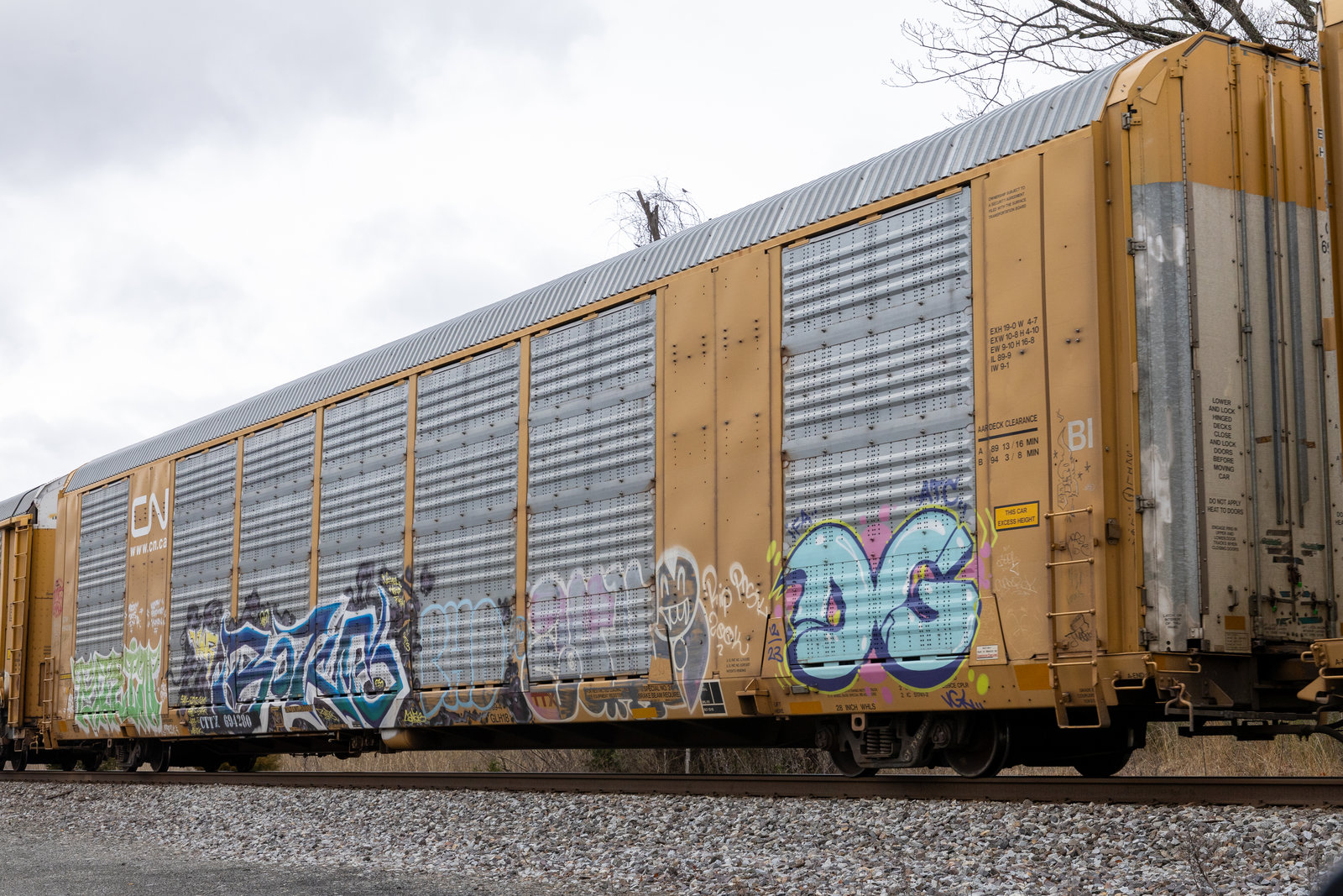 CTTX 694280