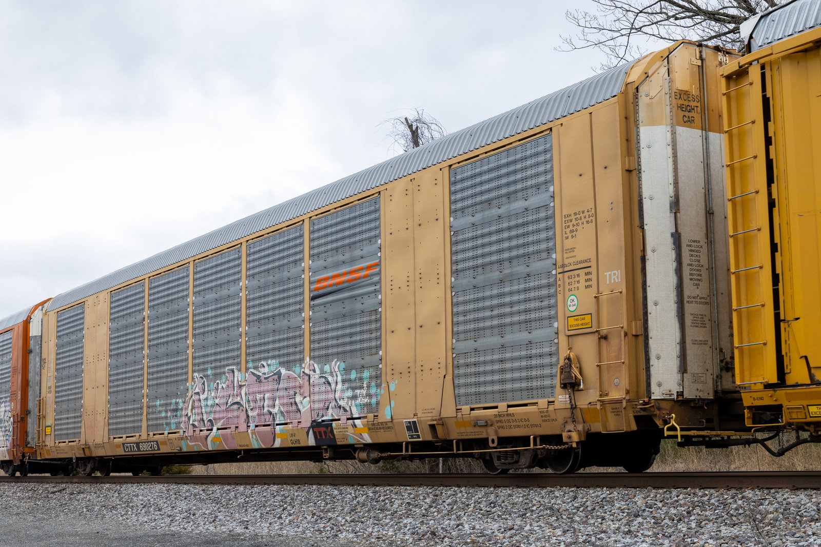 CTTX 690276