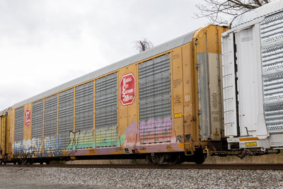CTTX 695133