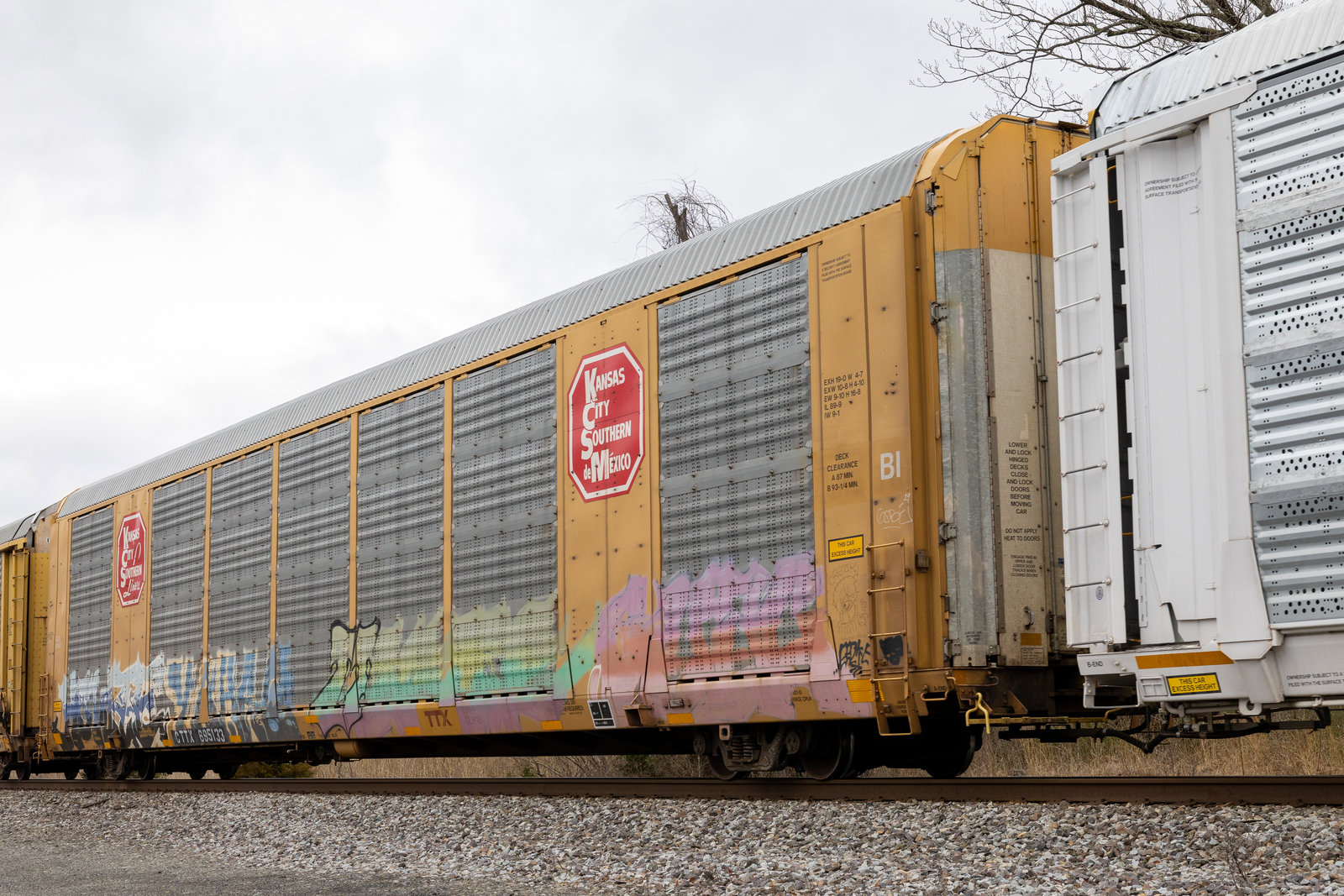 CTTX 695133