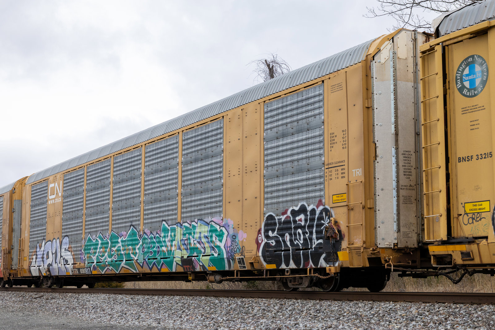 CTTX 690817