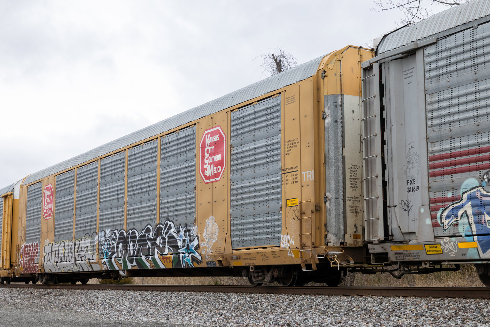 CTTX 694087
