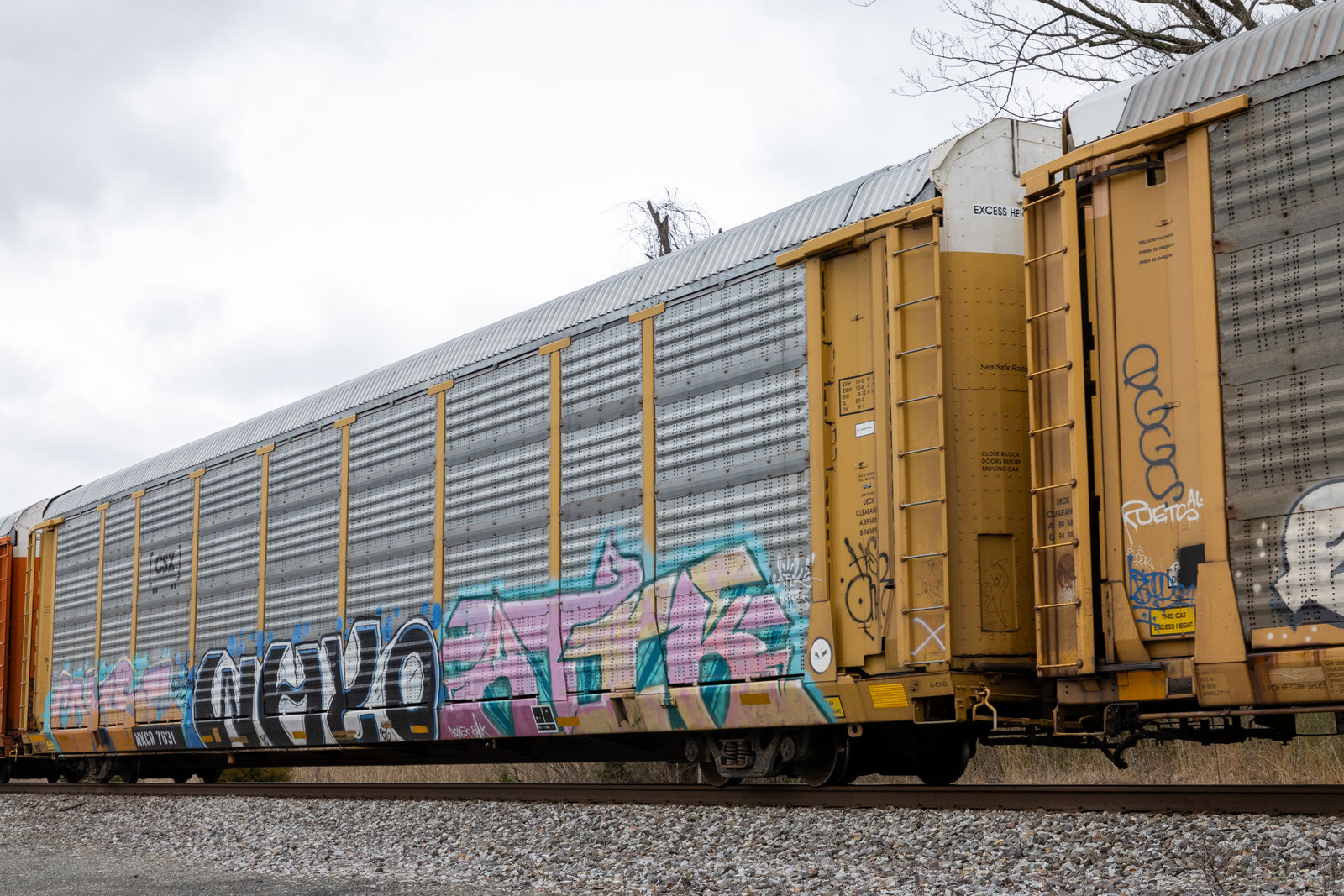 NKCR 7631