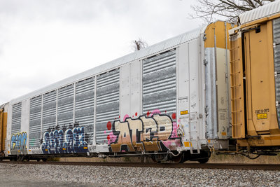 SFLC 307934