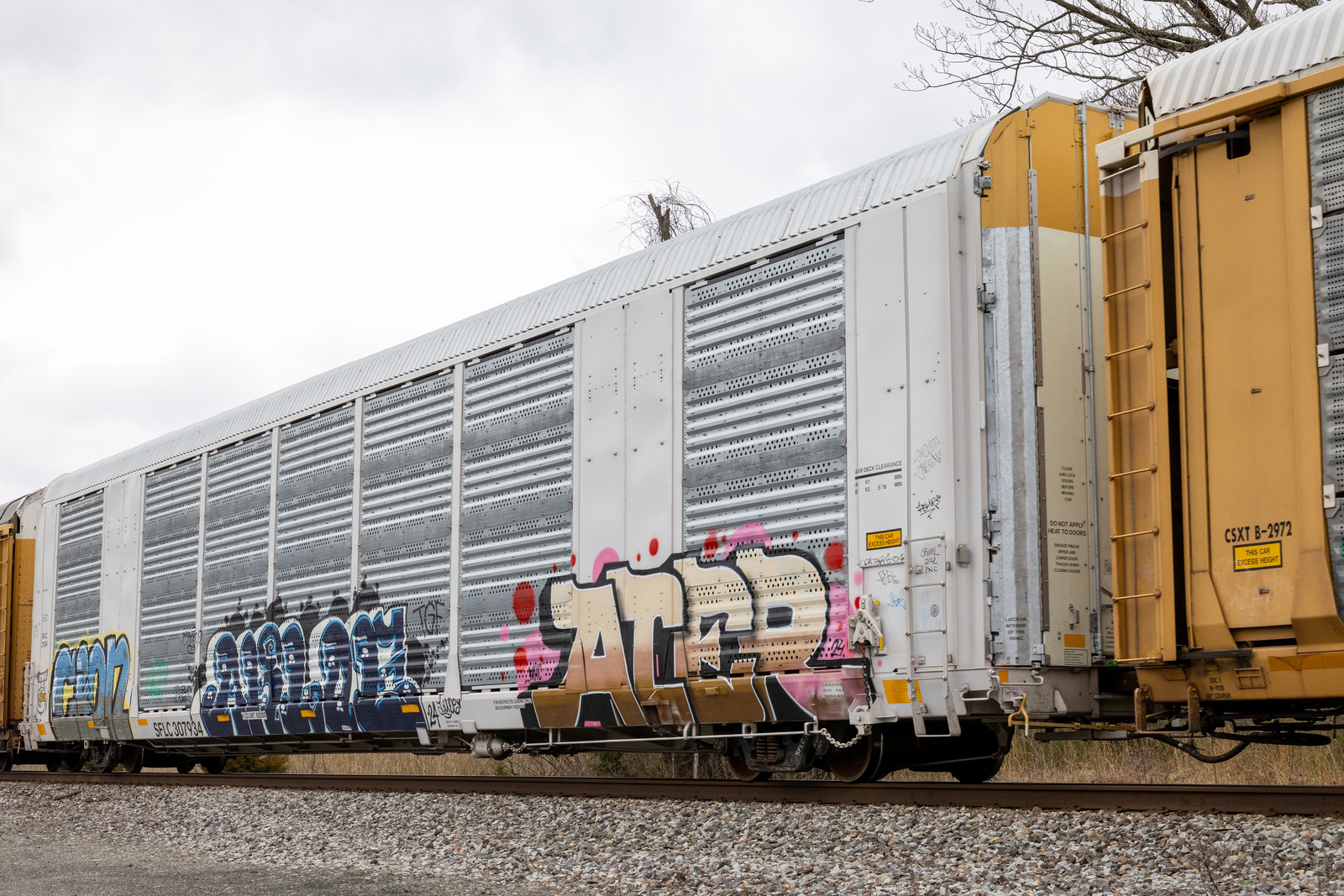 SFLC 307934