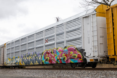 SFLC 308375