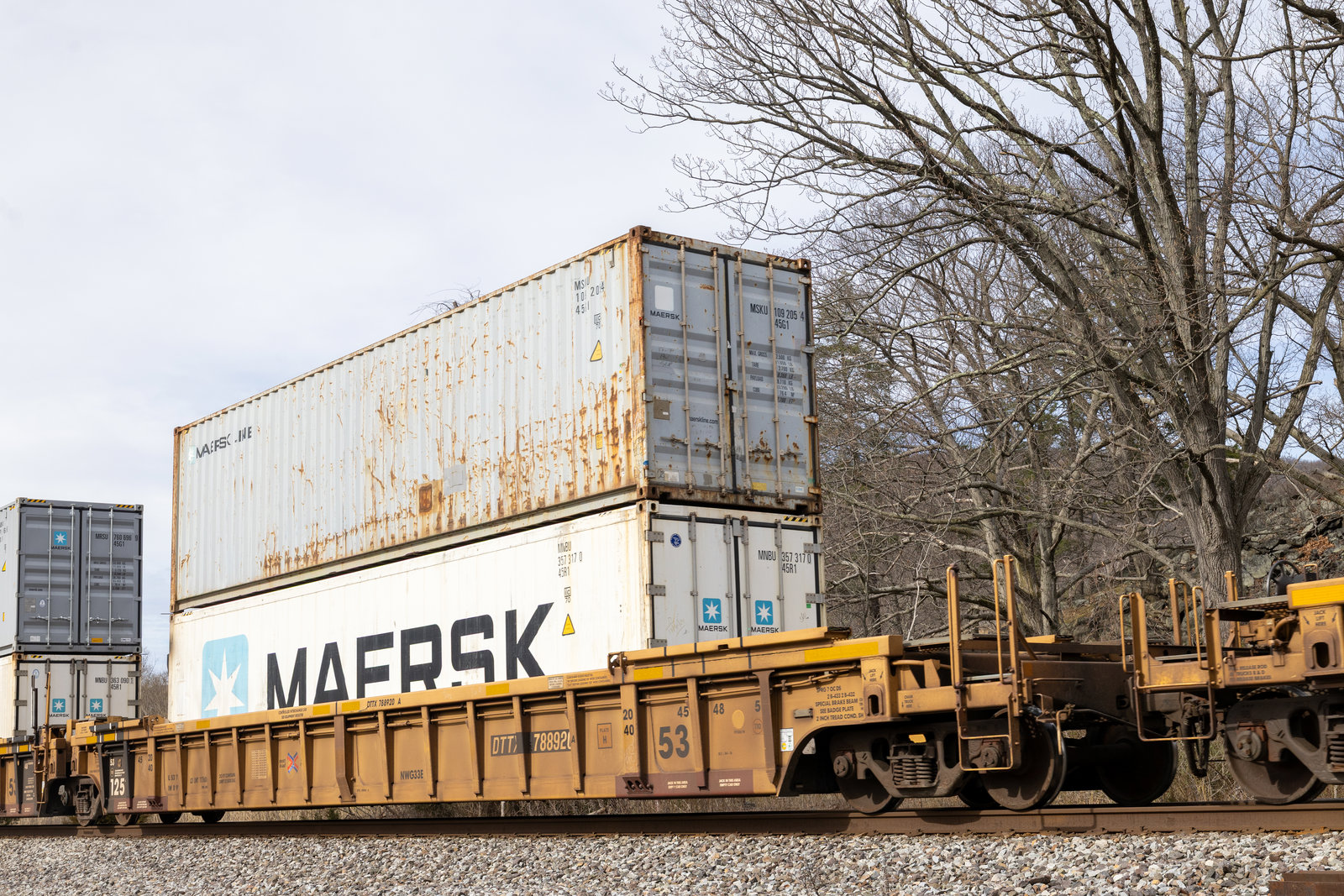TTGX 788920A