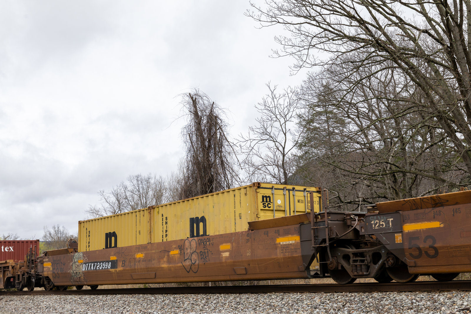DTTX 723598B