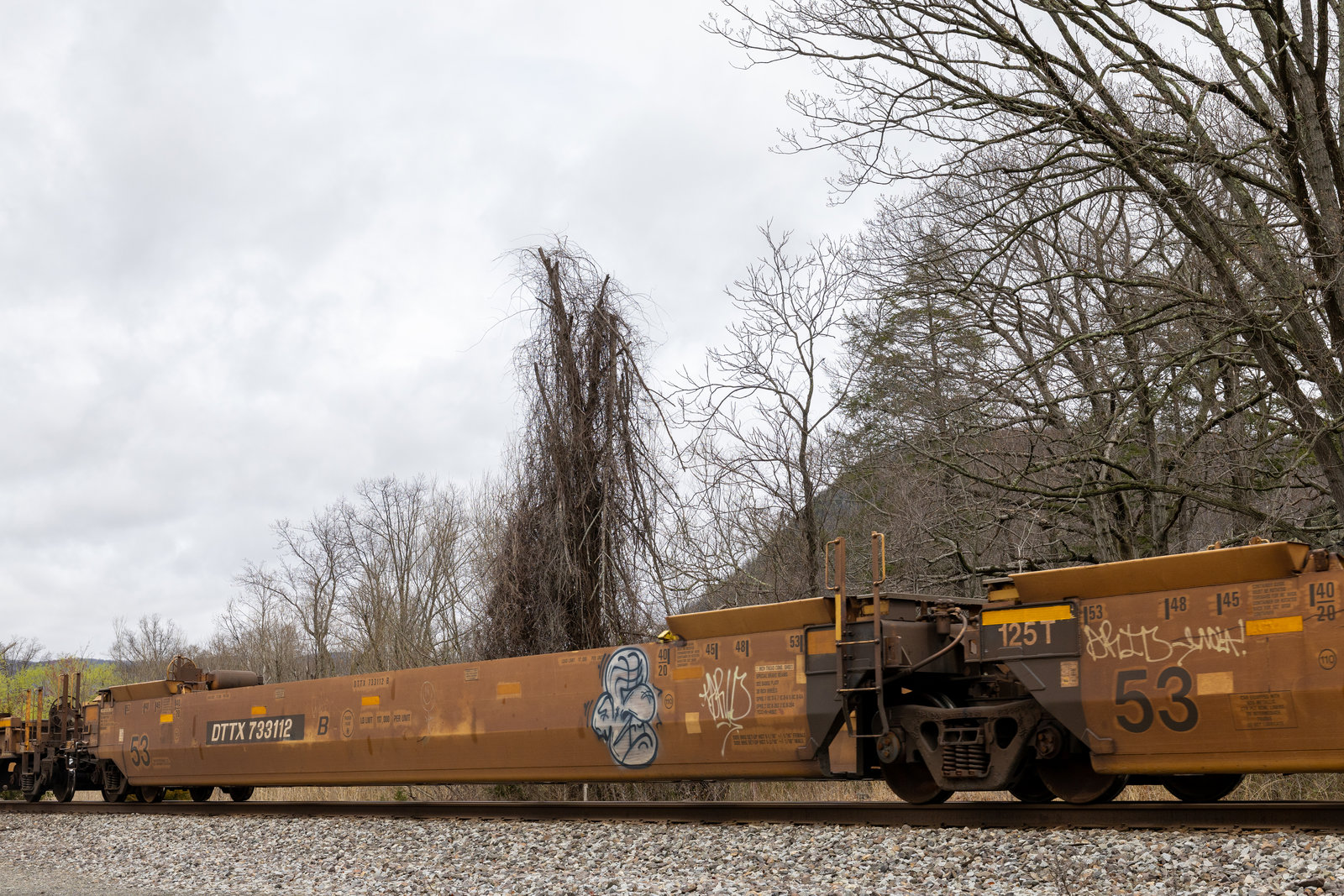 DTTX 733112B