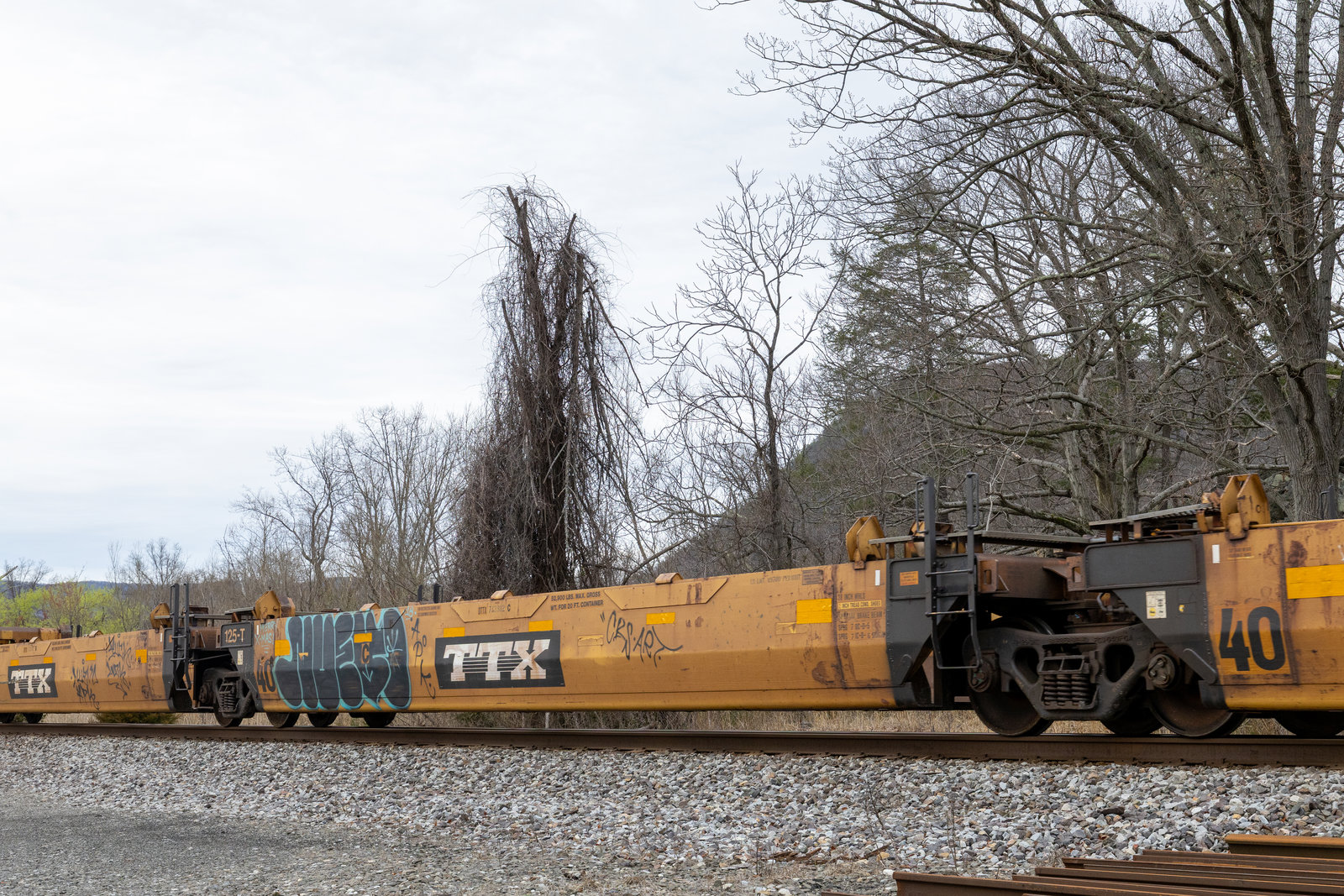 DTTX 743982C