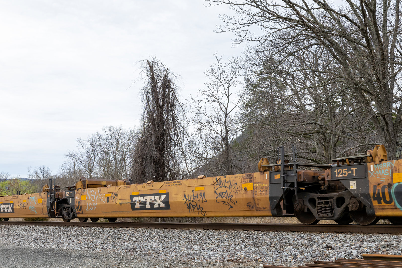 DTTX 743982D