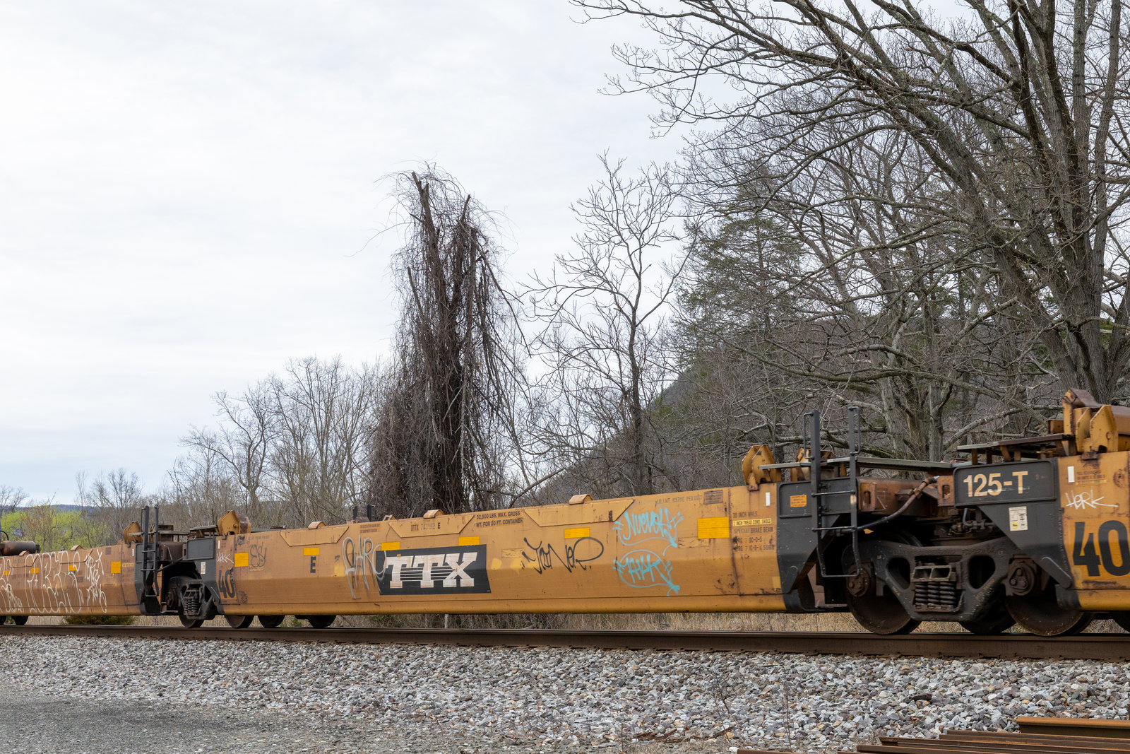 DTTX 743982E