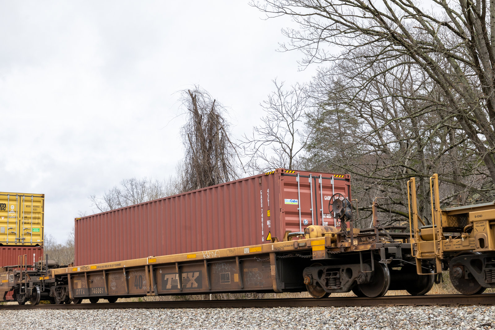 DTTX 746061