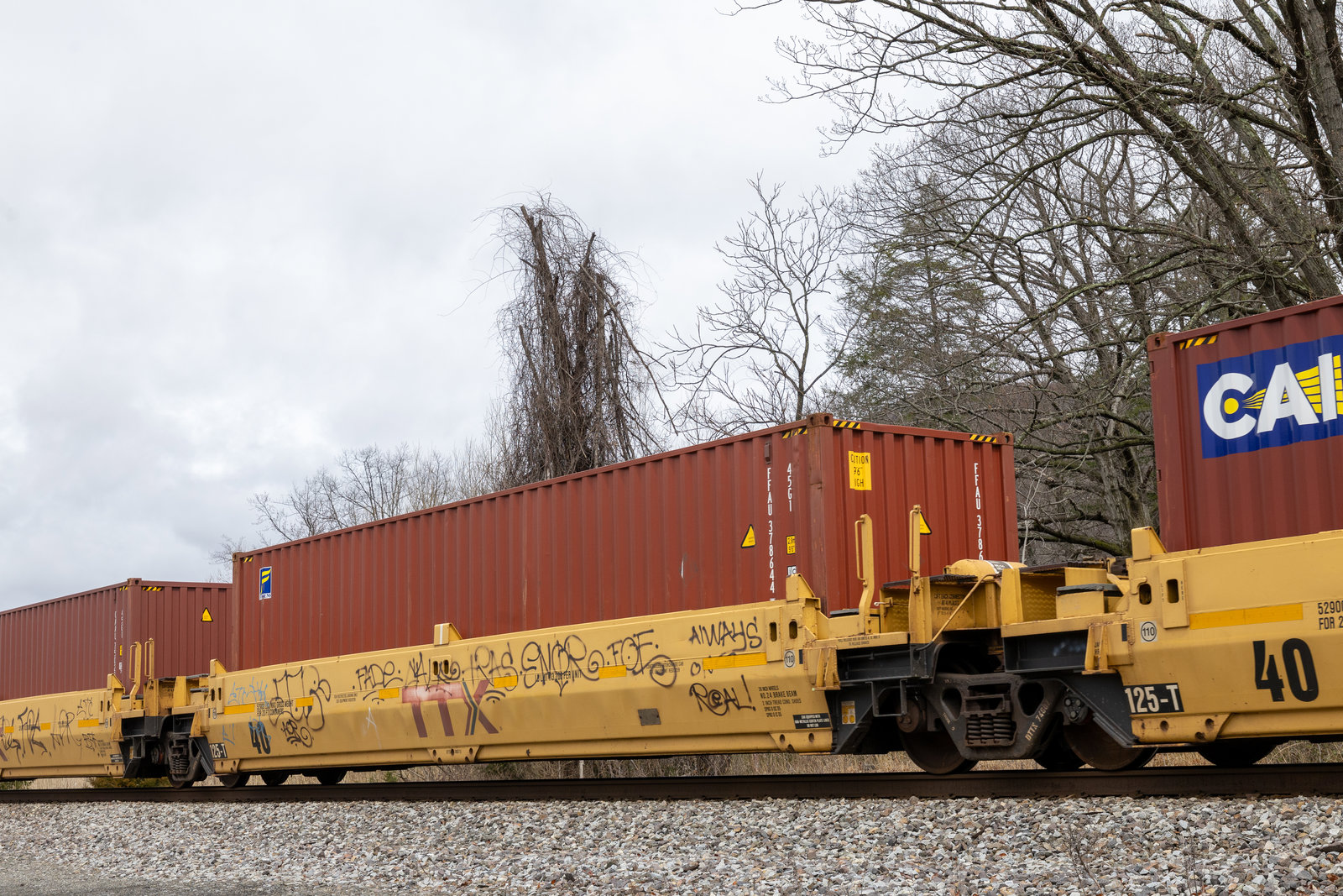 DTTX 74687D